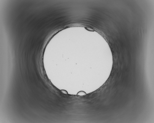X0000115070289200911241128