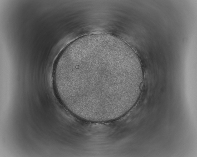 X0000115070290200911241128