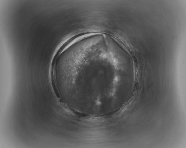 X0000115070292200911241127