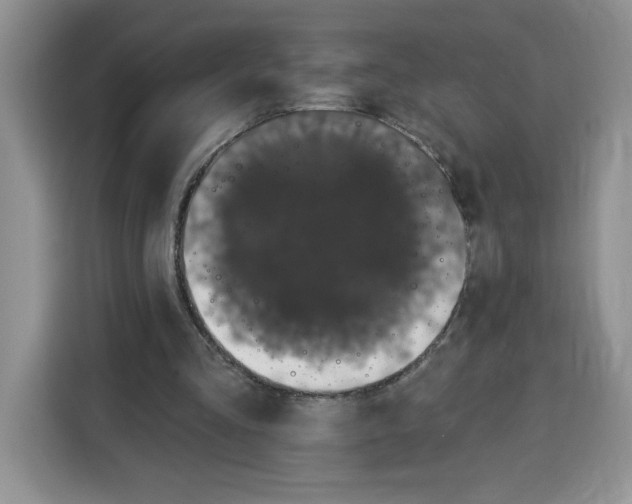 X0000115070293200911241127