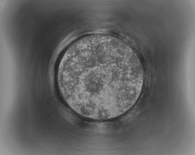 X0000115070295200911241127