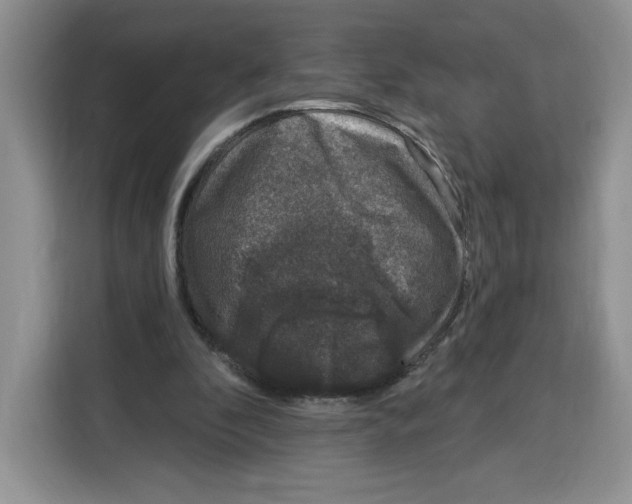 X0000115070296200911241127