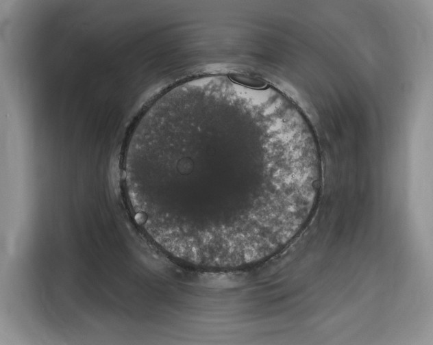 X0000115070297200911241127