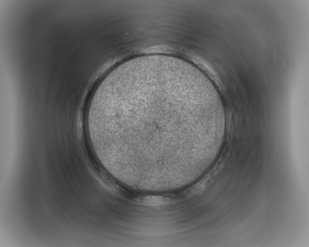 X0000115070298200911241127