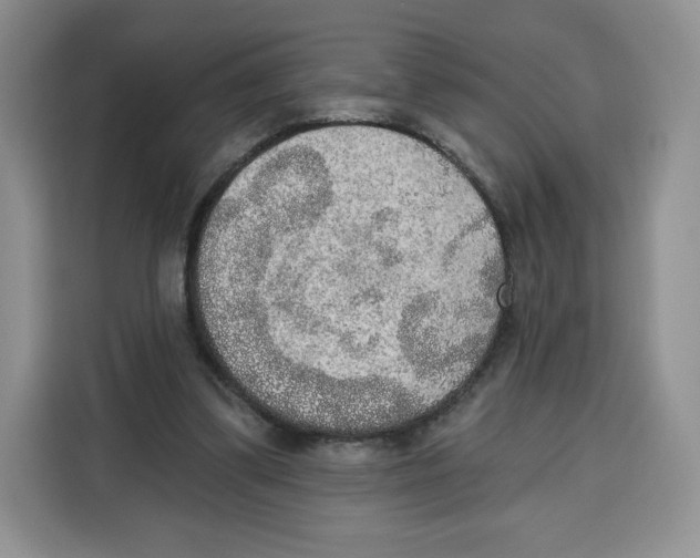 X0000115070299200911241127