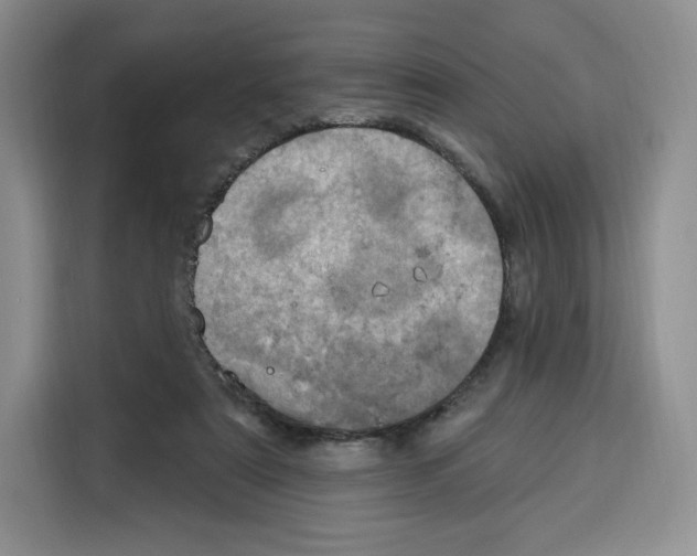 X0000115070307200911241127