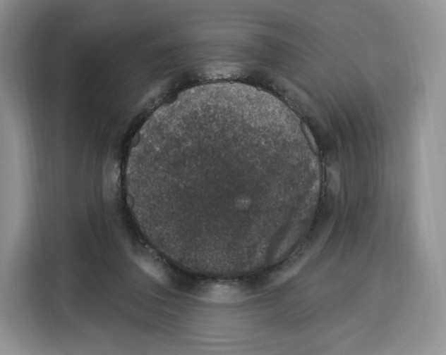 X0000115070308200911241127