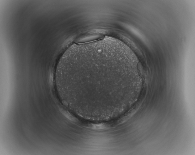 X0000115070309200911241127