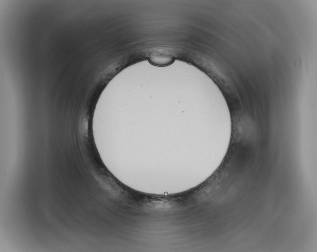 X0000115070310200911241127