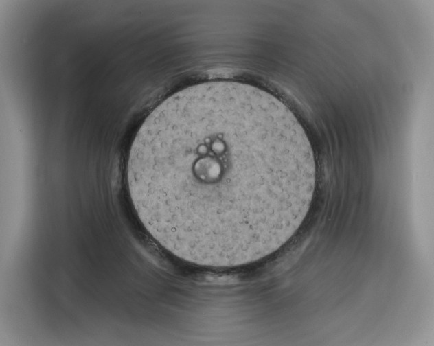X0000115070311200911241127