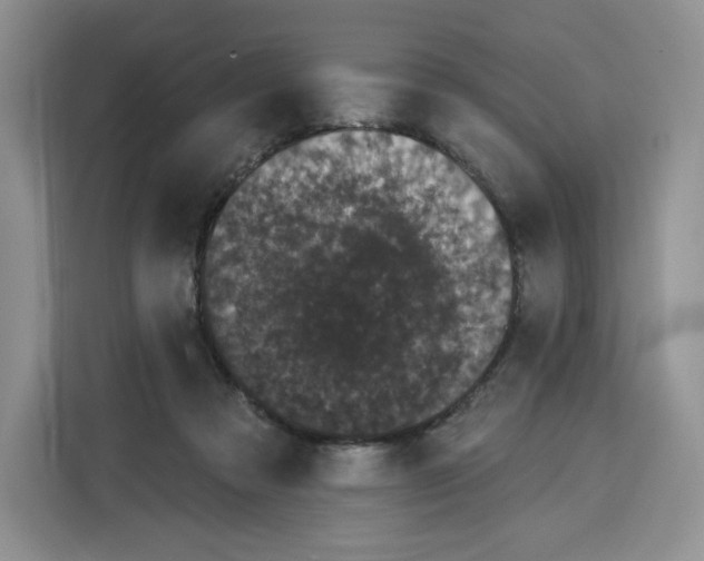 X0000115070313200911241127