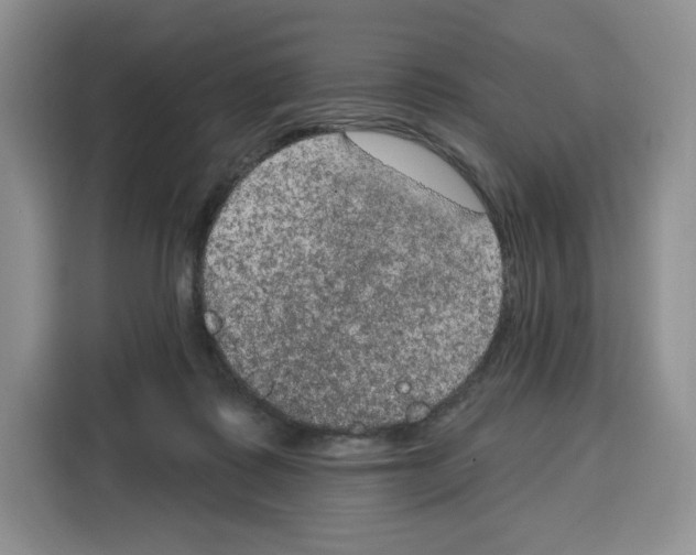 X0000115070315200911241127