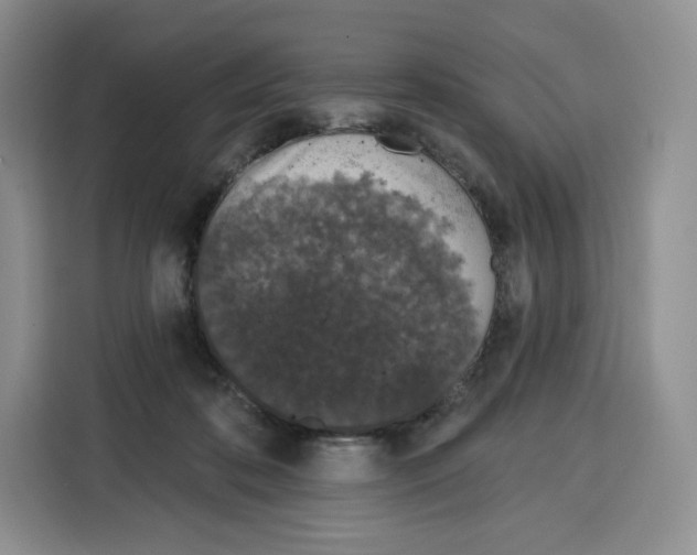 X0000115070316200911241127