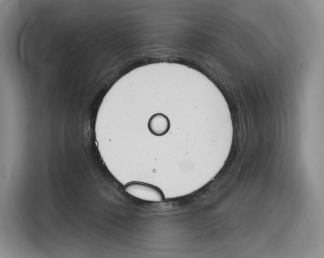 X0000115070320200911241127