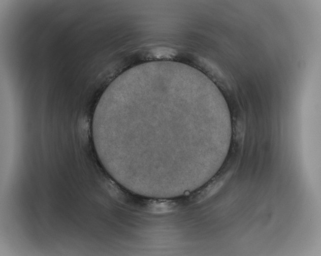 X0000115070321200911241127