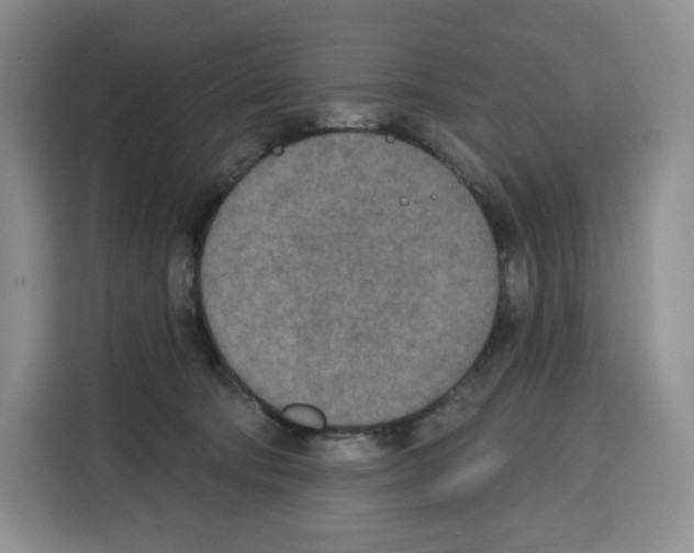 X0000115070322200911241127