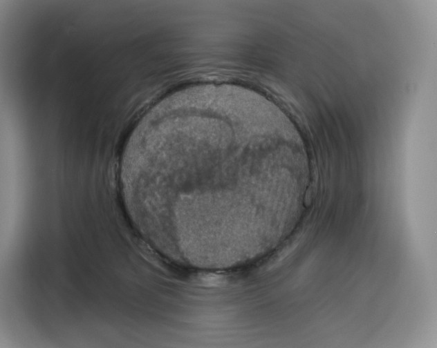 X0000115070325200911241127