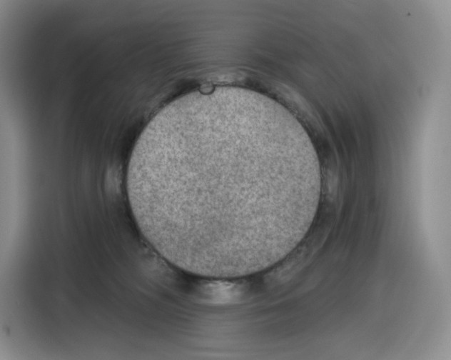 X0000115070326200911241127