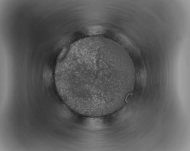 X0000115070327200911241127