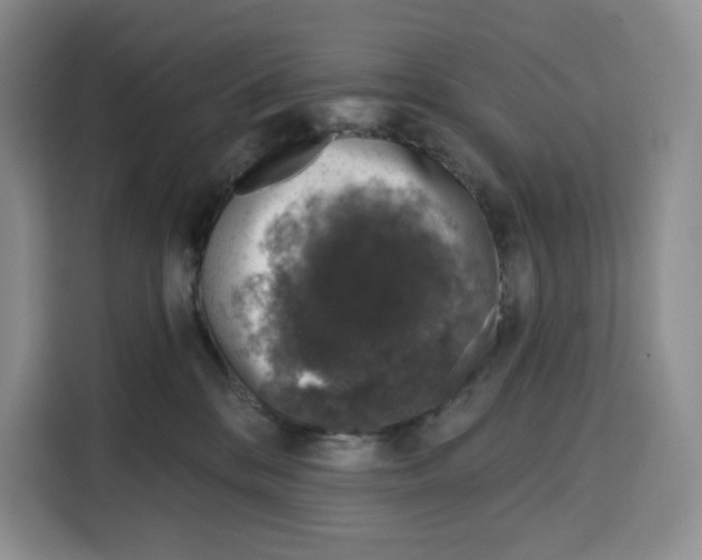 X0000115070328200911241127