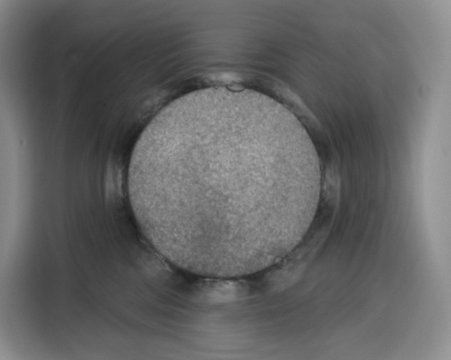 X0000115070330200911241127