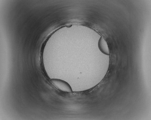X0000115070338200911241126