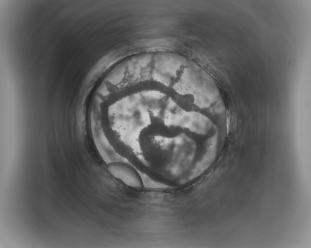 X0000115070339200911241126