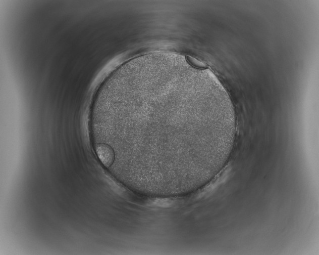 X0000115070341200911241126