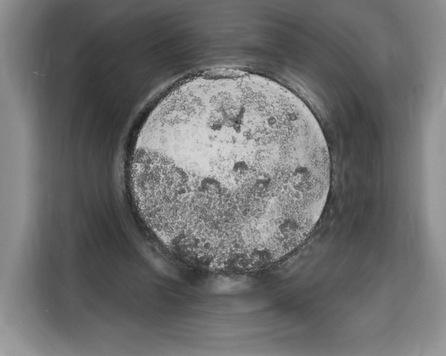X0000115070346200911241126