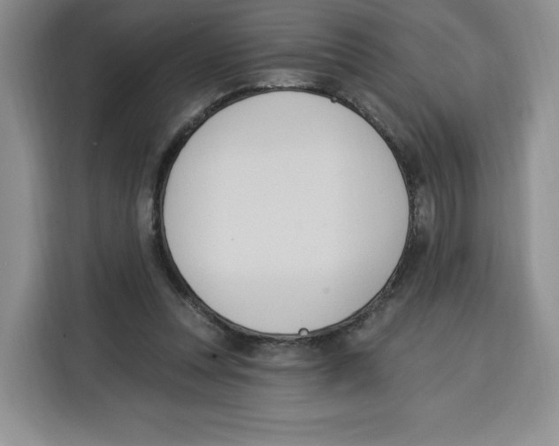X0000115070351200911241126
