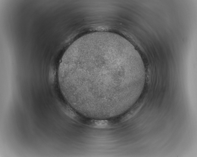 X0000115070355200911241127