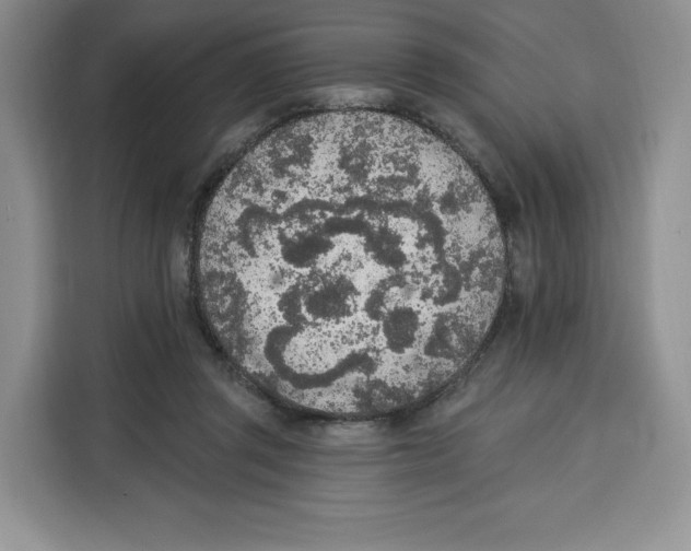 X0000115070357200911241127