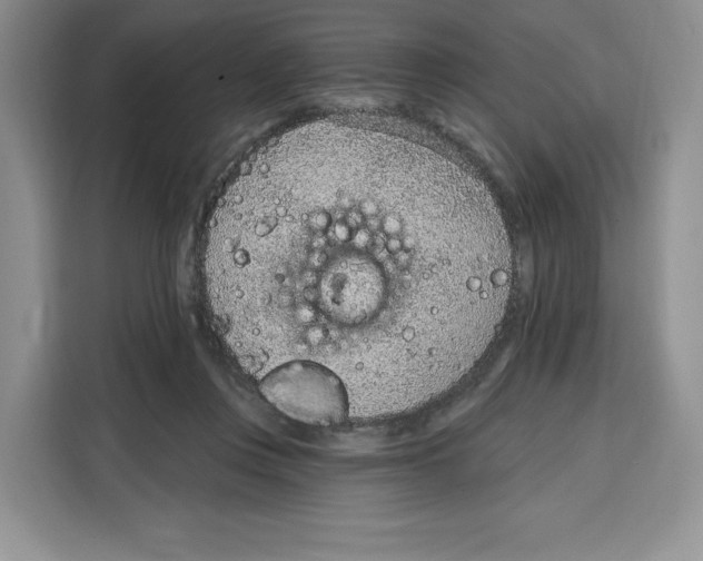 X0000115070359200911241127