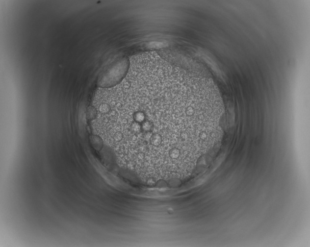 X0000115070363200911241127