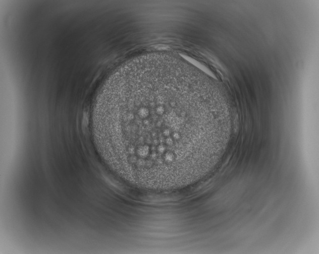X0000115070365200911241127