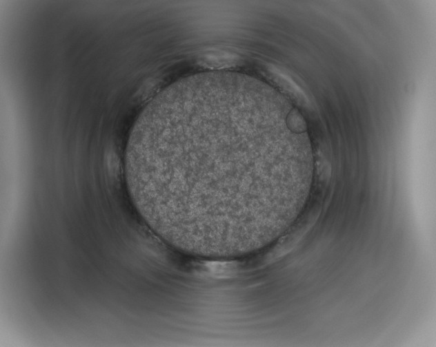 X0000115070371200911241127