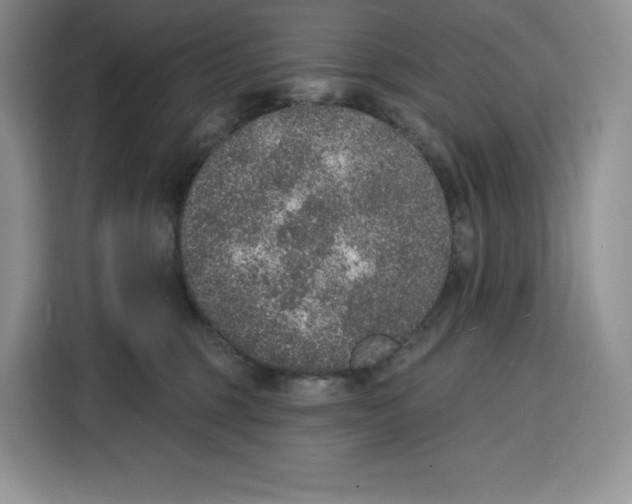 X0000115070375200911241127