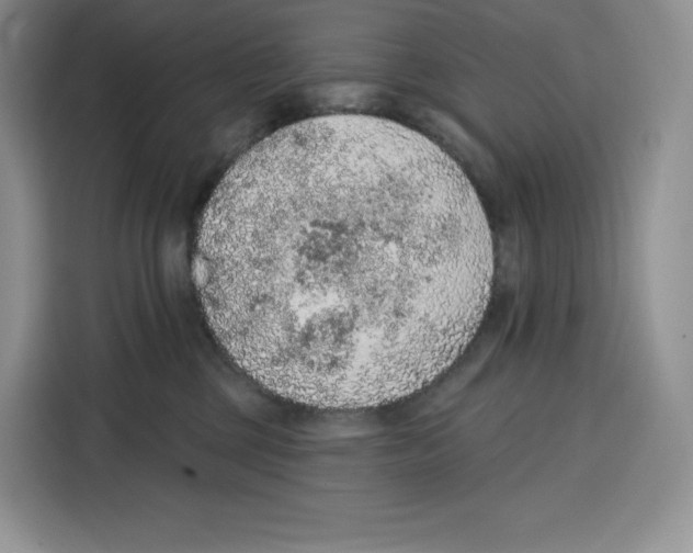 X0000115070377200911241127