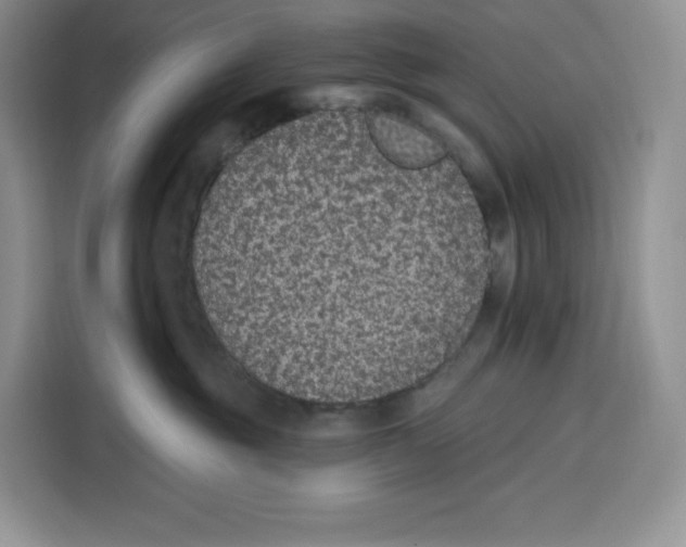 X0000115070381200911241127