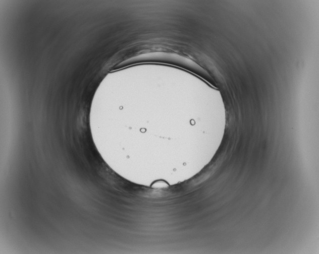 X0000115070382200911241127
