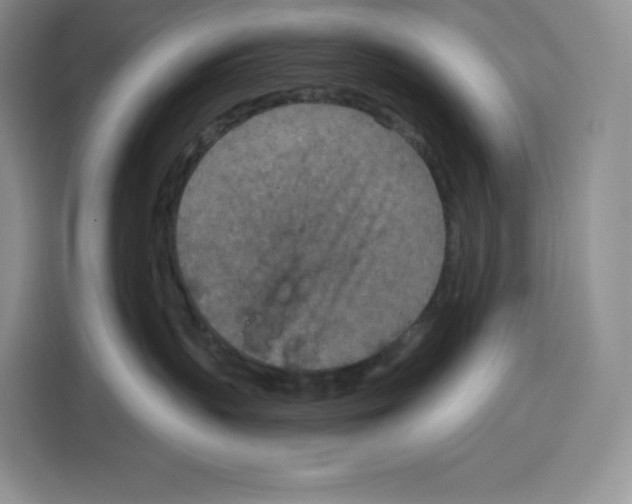 X0000115070383200911241127