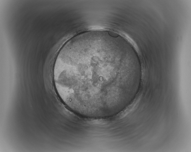 X0000115070385200911241126