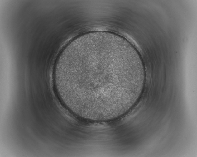 X0000115070386200911241126