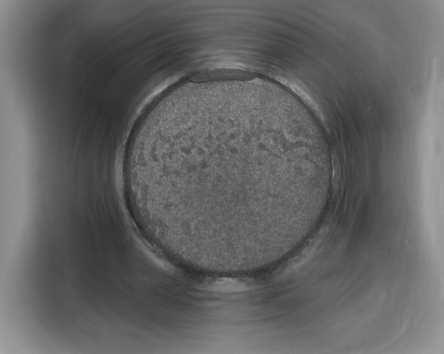 X0000115070390200911241126