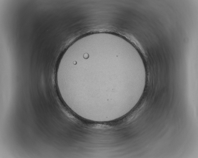X0000115070393200911241126