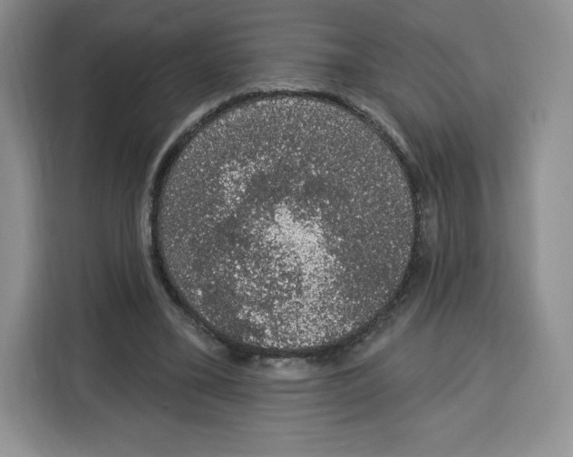 X0000115070395200911241126