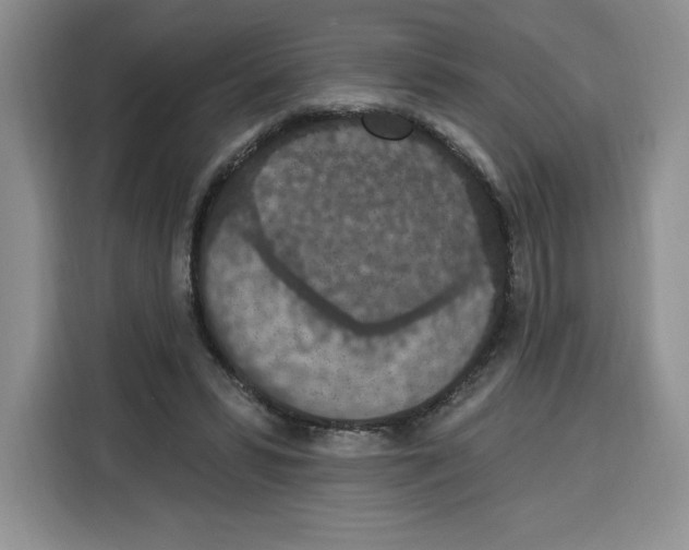 X0000115070399200911241126