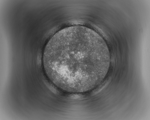 X0000115070402200911241126