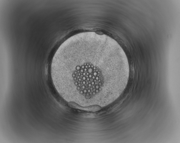 X0000115070404200911241126