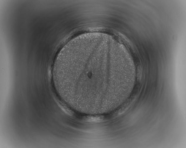 X0000115070405200911241126